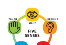 Otelcilikte beş duyu